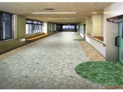 特惠:PVC塑膠地板，運(yùn)動(dòng)地板-- 南京康奧建材有限公司工程技術(shù)部