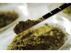 土壤.底泥與固廢.危廢檢測-- 上海中特檢測技術有限公司