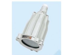 工業照明燈具ABSg-100(60)隔爆型視孔燈-- 浙江省騰達防爆電氣有限公司