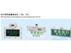 BYY防爆標志燈道路燈具 通道專用燈具-- 浙江省騰達防爆電氣有限公司