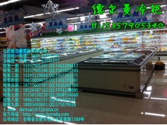 吳忠哪里有賣海鮮冷藏柜/吳忠哪里有賣海鮮冷凍柜-- 合肥德爾曼商用設備公司