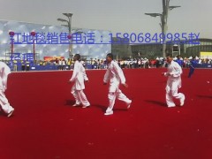 十大慶典禮儀活動(dòng)地毯品牌陵縣華龍化纖性價(jià)比最高-- 陵縣華龍化纖有限公司