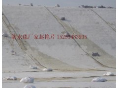 德州哪里有做膨潤土防水毯,價格多少?-- 陵縣華龍化纖有限公司