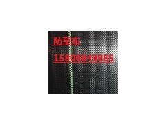 德州除草布廠家首選陵縣華龍化纖-- 陵縣華龍化纖有限公司