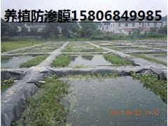 山東養殖防滲膜廠家陵縣華龍化纖最專業-- 陵縣華龍化纖有限公司