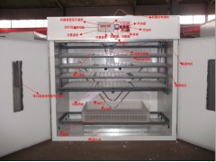 野雞孵化機 孵化設(shè)備-- 德州市德城區(qū)富民孵化設(shè)備研制中心