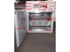 264枚孵化機 全自動孵化機-- 德州市德城區(qū)富民孵化設備研制中心