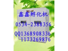新疆孵化機西藏孵化機全自動孵化機www.xinxinfuhua.com-- 山東鑫鑫孵化設備廠