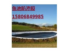 德州黑色防滲膜廠(chǎng)家首選陵縣華龍化纖-- 陵縣華龍化纖有限公司