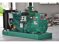 江蘇150KW玉柴發(fā)電機(jī)組廠家領(lǐng)馭電機(jī)最專業(yè)-- 江蘇領(lǐng)馭電機(jī)有限公司