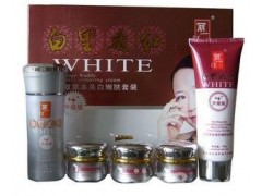 麗一汀本草白里透紅美容套裝（五合一）祛斑草本-- 廣西南寧市護(hù)膚精品化妝品公司銷售部