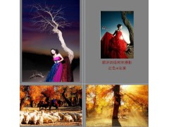 額濟(jì)納胡楊林戶外旅游攝影團(tuán),露營篝火?？妥顚I(yè)-- 安徽?？屯卣古嘤?xùn)服務(wù)有限公司