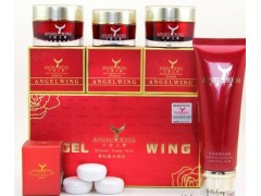 天使之翼夢(mèng)幻組合，天然植物配方，天使之翼4件套美顏嫩膚-- 廣西南寧市護(hù)膚精品化妝品公司銷(xiāo)售部
