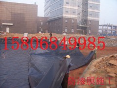 山東藕池防滲膜廠家陵縣華龍化纖最專業-- 陵縣華龍化纖有限公司