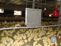 養殖暖風機生產廠家德冷空調設備廠為朔州養殖用戶提供了保障-- 德州經濟開發區德冷空調設備廠直銷處
