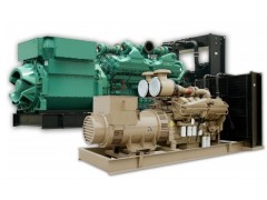 1000千瓦1000KW柴油發(fā)電機(jī)組 重慶康明斯發(fā)電機(jī) 上海領(lǐng)馭純銅電機(jī)-- 江蘇領(lǐng)馭電機(jī)有限公司