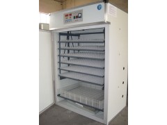 山東潤德孵化機 全自動孵化機-- 德州潤德金屬制品有限公司