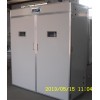 四川潤德孵化機(jī) 全自動大型孵化機(jī)