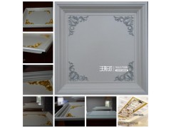 三維板吊頂/新型環(huán)保無污染綠色建材-- 常州鼎鋼墻體新材料有限公司
