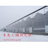 青島 溫室大棚專用陽光板