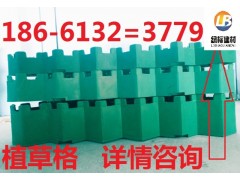 北京植草格-- 泰安綠標建材有限公司