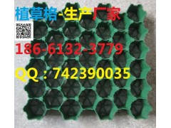 重慶植草格-- 泰安綠標建材有限公司