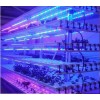 LED植物補光燈