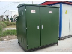 福開電氣專業(yè)生產(chǎn)箱式變電站 預(yù)裝式箱式變電站 景觀式箱式變電站 小區(qū)美化戶外型 歐式箱變 終端型箱變 質(zhì)保兩年-- 上海福開電氣有限公司