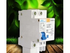 艾地生工程家裝帶漏電保護(hù)空氣開關(guān)廠家批發(fā) DZ471P10A斷路器批發(fā)-- 東莞市艾地生實業(yè)有限公司