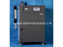 免辦鍋檢 自動補水 36kw電蒸汽鍋爐-- 上海揚諾鍋爐制造有限公司