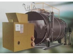生物質鍋爐的發展前景-- 河南斯大鍋爐設備有限公司