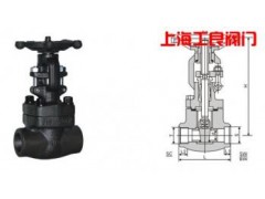 鍛鋼焊接閘閥-上海工良閥門-- 上海工良閥門廠