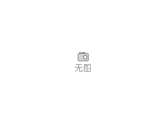供應(yīng)利雅路RS300燃?xì)馊紵?- 合肥華軒鍋爐燃燒設(shè)備有限公司