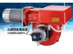 GAS燃?xì)馊紵?- 合肥市霖勝鍋爐熱能設(shè)備有限公司