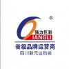 強(qiáng)力巨彩LED顯示屏P10