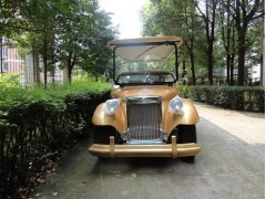 長沙電動看房車、老爺車-- 豐日福悅電動車有限公司