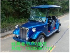 5座豪華電動巡邏車-- 湖南大豐合電動車業(yè)有限公司