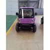 四輪成人電動(dòng)汽車 全封閉鐵殼 油電混