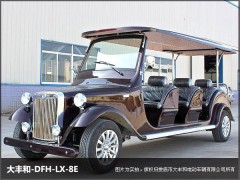 湖南8座電動觀光車-- 湖南大豐合電動車業(yè)有限公司