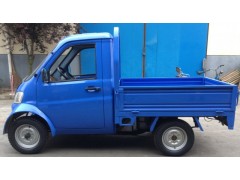 小飛馬-- 蘇州阿帕奇電動(dòng)車有限公司