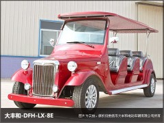 山東省（魯）8座電動老爺車江西省（贛）6座電動老爺車-- 湖南大豐合電動車業(yè)有限公司