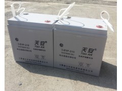 優(yōu)質(zhì)6V免維護(hù)蓄電池-- 鎮(zhèn)江天安電源有限責(zé)任公司