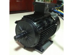 供應(yīng)110V5.5KW電動(dòng)船電機(jī)-- 常州永沛機(jī)電技術(shù)有限公司