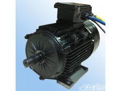 液壓油泵電機(jī),直流電動(dòng)油泵電機(jī),汽車(chē)油泵電機(jī),油泵電機(jī)-- 常州永沛機(jī)電技術(shù)有限公司
