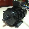 永磁無刷,永磁直流電動機