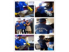 怎樣快速清洗老板油煙機？山西干油煙機清洗服務賺錢嗎？-- 海南美佳精細化工有限公司招商部