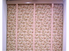 朗絲簾,朗絲百葉簾,廣州朗絲獨(dú)家供應(yīng)-- 廣州朗絲建材有限公司