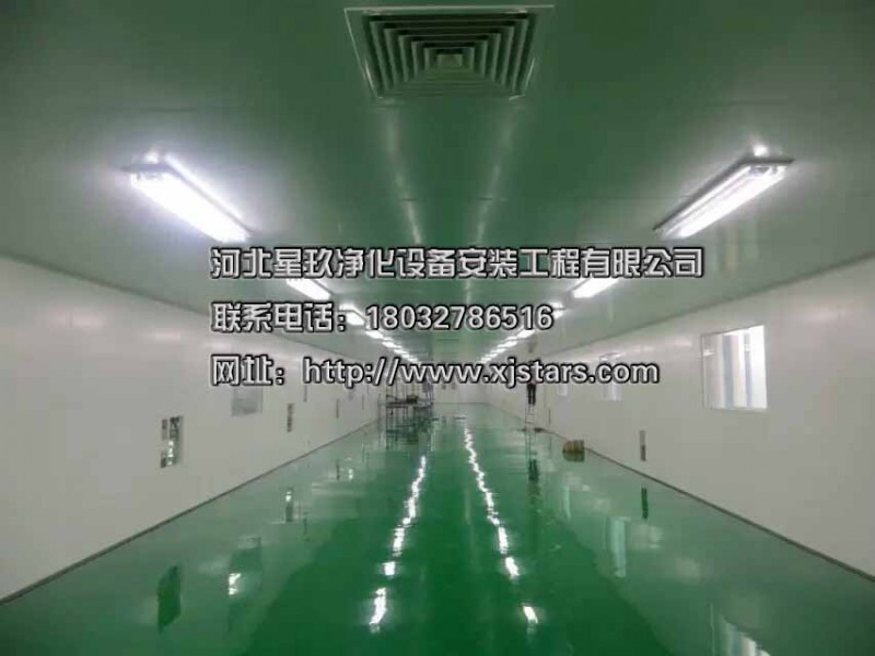 邢臺潔凈工程公司、星玖凈化工程（咨詢查看）、凈化廠房建設-- 河北星玖凈化設備安裝工程有限公司