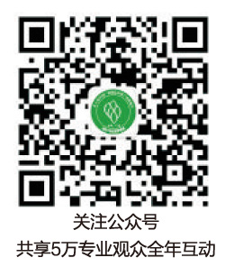 圖片20