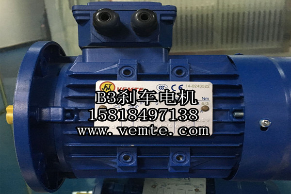YEJ112MC2-5.5KW三相異步剎車馬達(dá)-- 永安銀河電力有限公司
